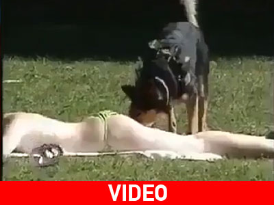 Σκύλος – πειραχτήρι